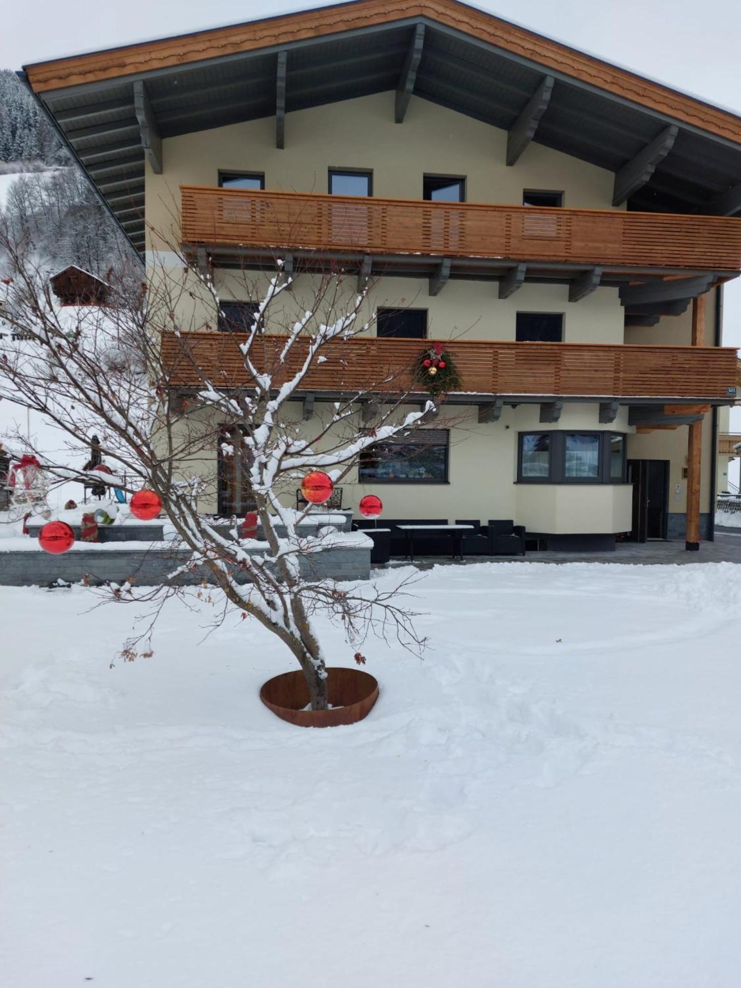 Appartement Reichholf Bramberg am Wildkogel Exteriér fotografie